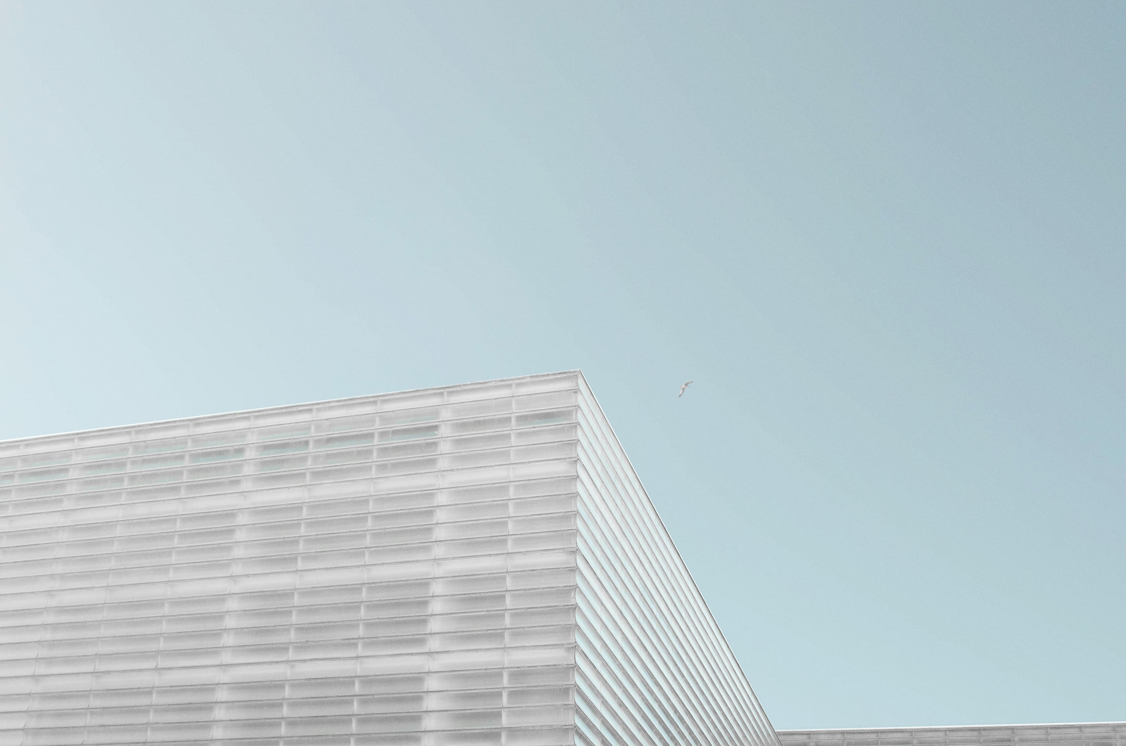 PnG Consultancy Report